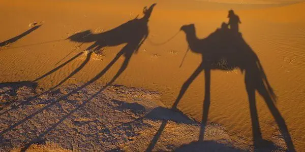 Cameltrekking in Morocco